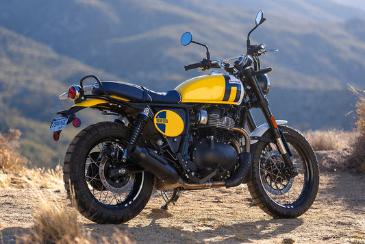 Bear 650 - Wild Honey